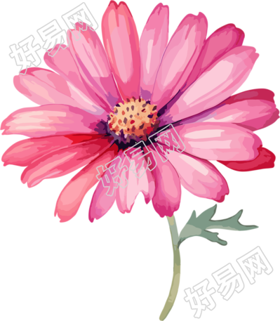 水彩花卉高清PNG图标元素
