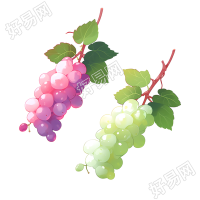 葡萄2D图形插画设计素材