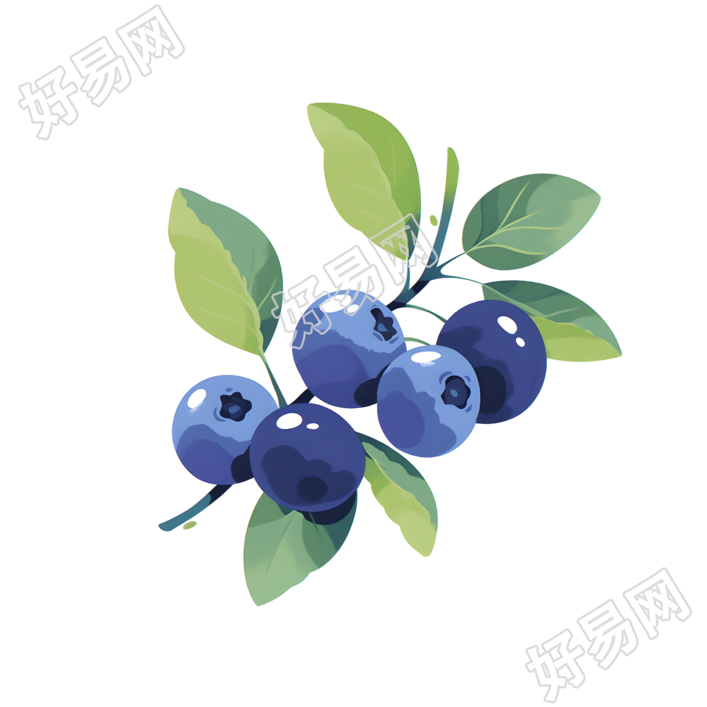 蓝莓插画素材