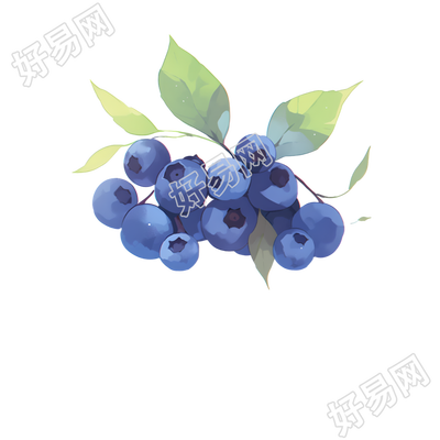 蓝莓2D图形素材