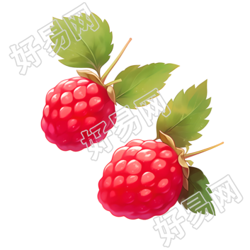 树莓插画设计素材