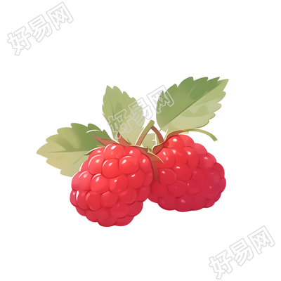 树莓2D图形插画素材