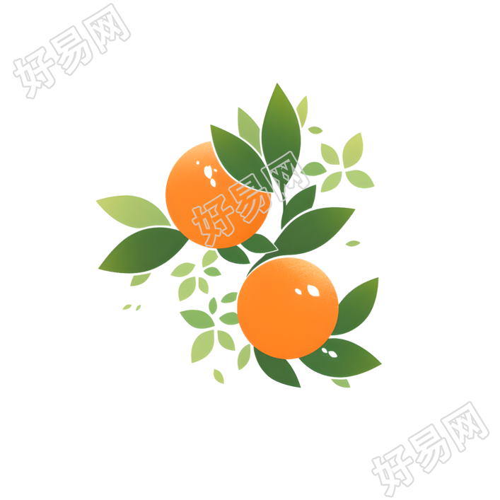 橙子2D图形插画