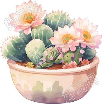 仙人掌盆栽插图