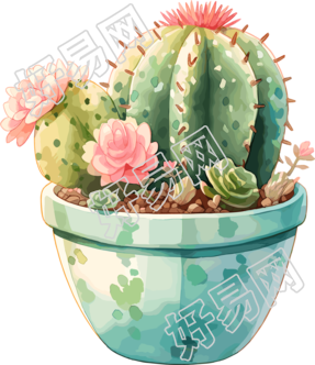 仙人掌盆栽创意设计商业插画