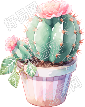仙人掌盆栽高清插画设计素材