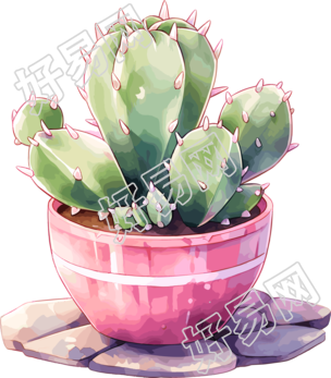 仙人掌盆栽透明背景高清素材
