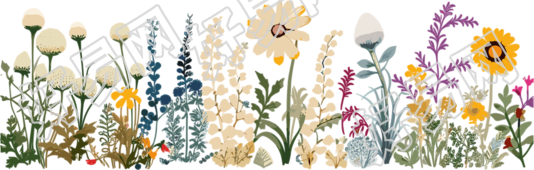 植物花边白色背景素材