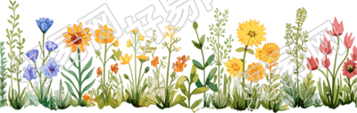植物花边卡通插画图案素材