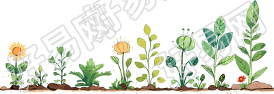 植物花边插画设计元素
