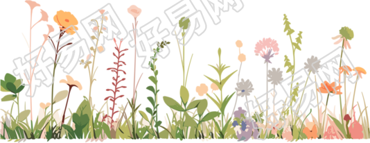 植物花边高清质量插图
