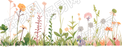 植物花边高清质量插图