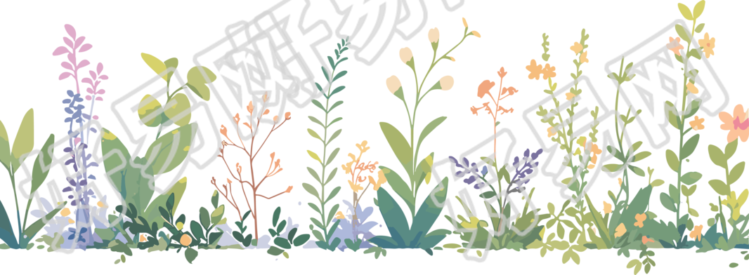 植物花边可商用PNG素材