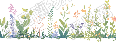 植物花边可商用PNG素材