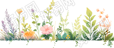 植物花边图案素材
