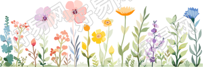 植物花边插画设计素材