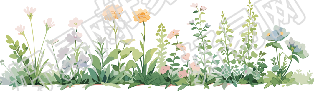植物花边白底素材