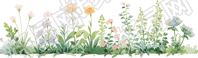 植物花边白底素材