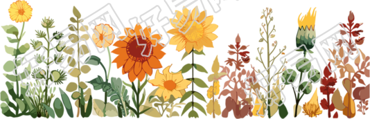 植物花边可商用插画设计