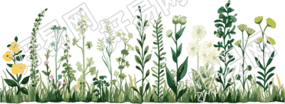 植物花边高清图形素材