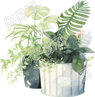 盆栽贴纸透明背景素材