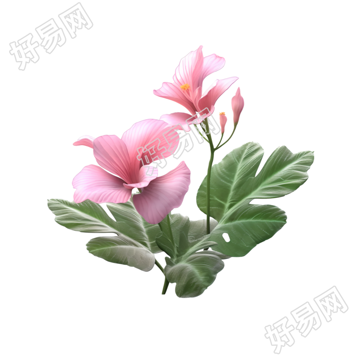3D花卉细节渲染的模型素材