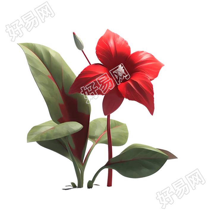 3D花卉三维模型插图