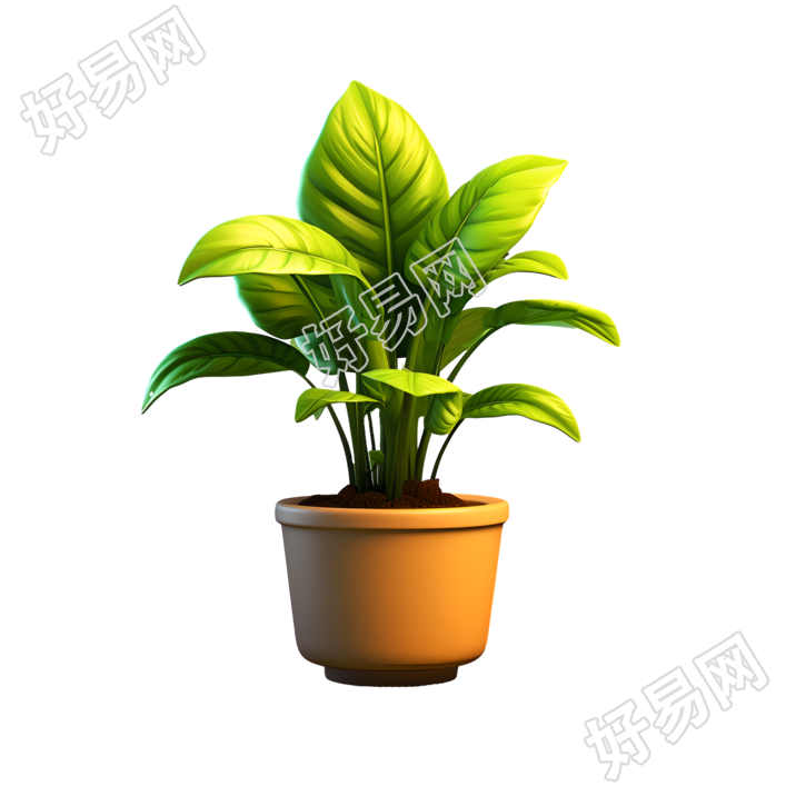 3D植物模型透明背景素材