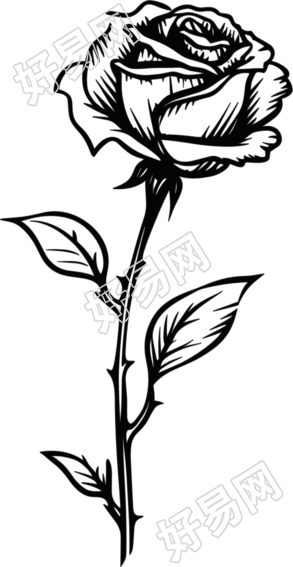 透明背景手绘黑白线条玫瑰花素材
