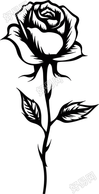 可商用黑白线描玫瑰花素材