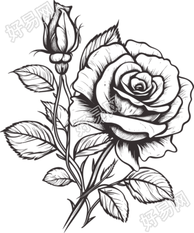 黑白手绘线条唯美玫瑰花可商用素材