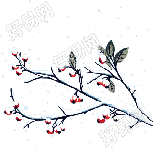 冬季元素雪中红浆果插画