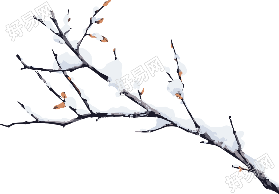 冬季落雪的枝条透明背景扁平插画
