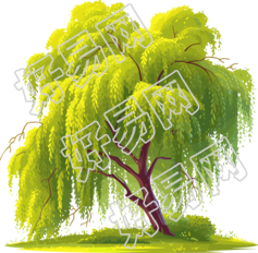 春天柳树简约插画