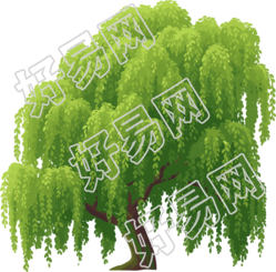 春天柳树PNG插画