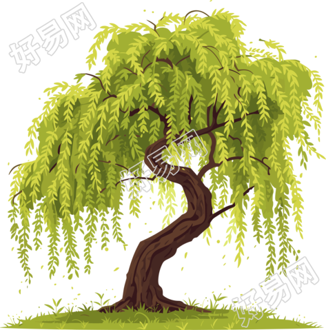 春天柳树素材