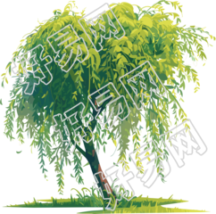 春天柳树可商用元素