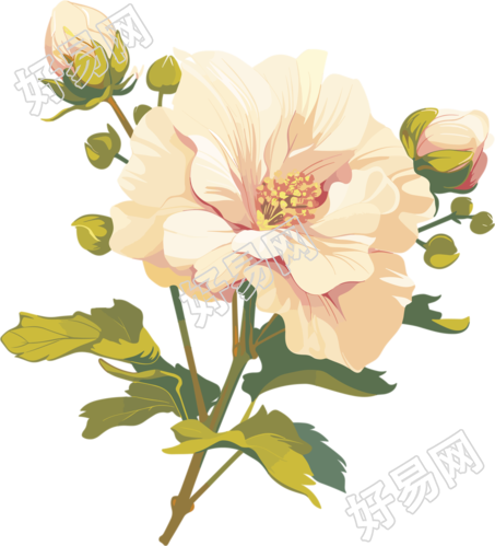 花苞高清图形素材