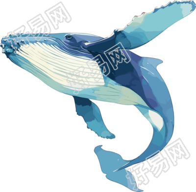 鲸鱼海洋生物插画