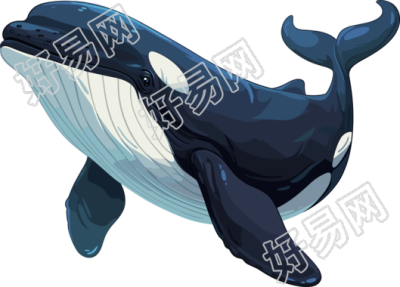 鲸鱼PNG商用素材