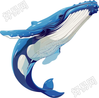 鲸鱼商业设计插图