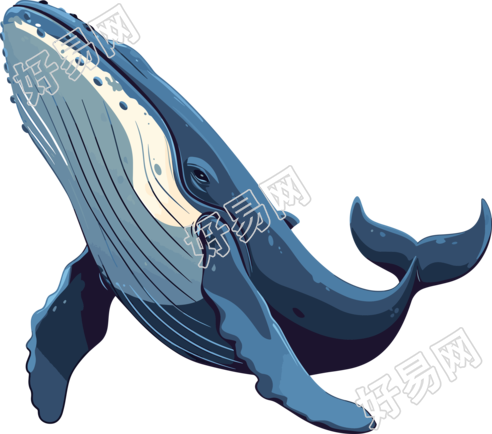鲸鱼插画设计元素