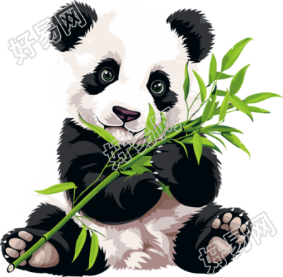 大熊猫吃竹子插画