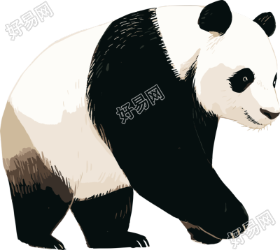 大熊猫简洁商用素材