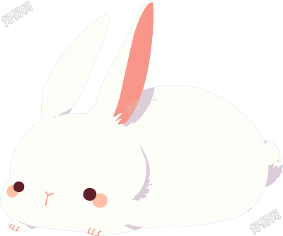 兔子雪白插图