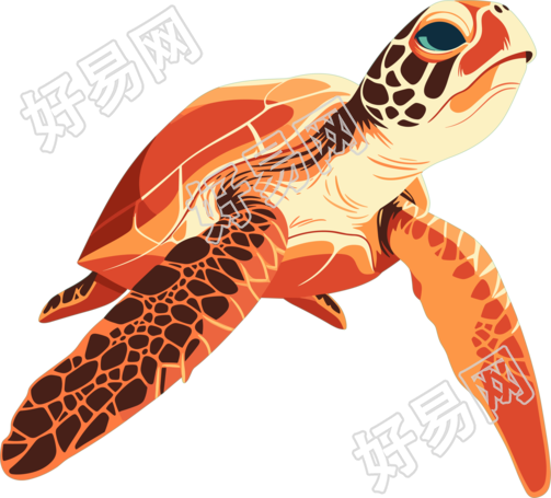 海洋海龟简约插图
