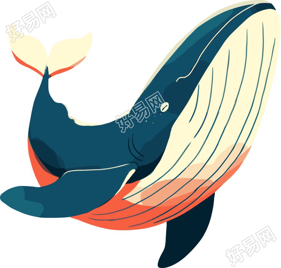海洋鲸鱼插图