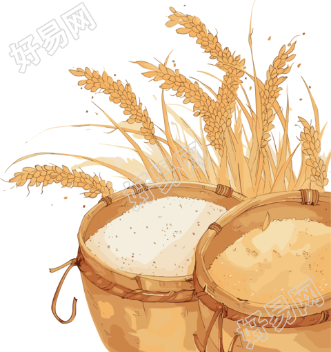 晚稻农业插画