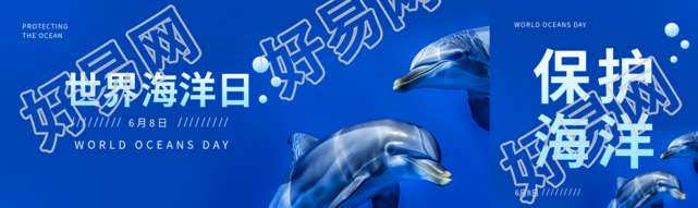 世界海洋日海豚实景公众号封面图