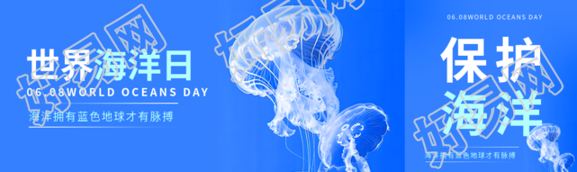 世界海洋日水母实景公众号封面图